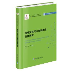 海域天然气水合物渗流特性研究（2020新能源基金）