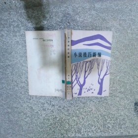 小說技巧新編