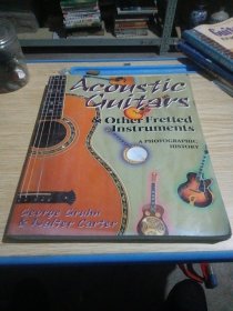Acoustic guitars and other fretted instruments