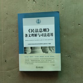 《民法总则》条文理解与司法适用