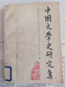 中国文学史研究集