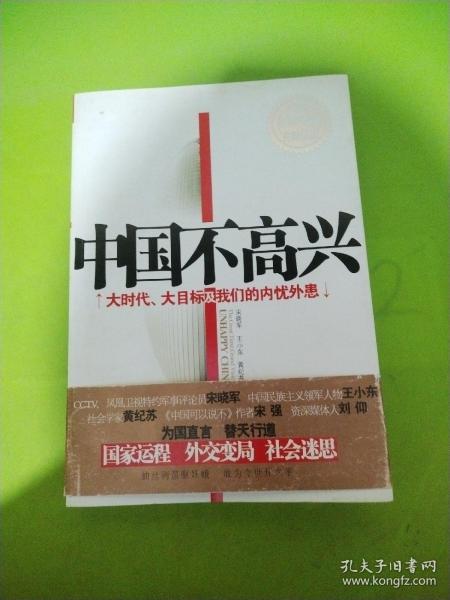 中国不高兴：大时代大目标及我们的内忧外患