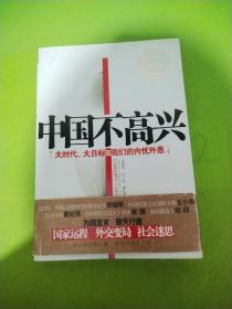 中国不高兴：大时代大目标及我们的内忧外患