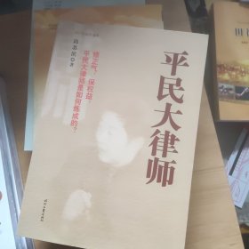 平民大律师