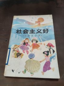 社会主义好小学生读本