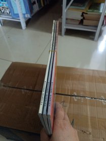 看地图学历史：中世纪时期、大航海时期、近现代时期，三本合售