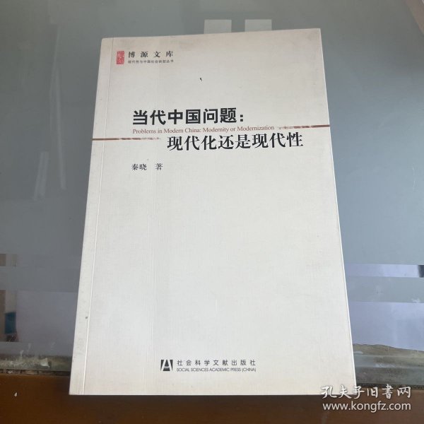 当代中国问题：现代化还是现代性