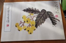 荣宝斋画谱(八) 花卉草虫部分