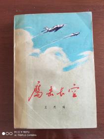 鹰击长空（插图本）