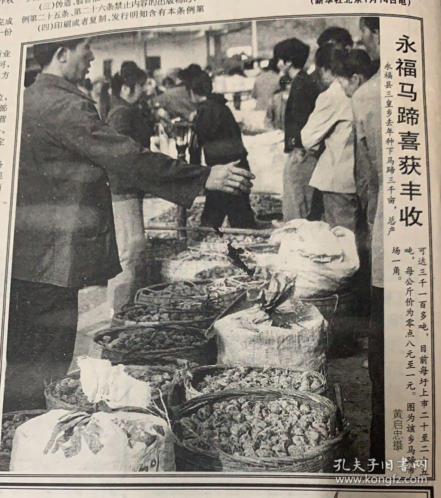 点击查看原图 广西日报16647号
1*首辆大型摆渡车运抵南宁 
2*我国首次南极内陆冰盖考察喜获成功 
3*永福马蹄喜获丰收