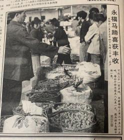 广西日报16647号
1*首辆大型摆渡车运抵南宁 
2*我国首次南极内陆冰盖考察喜获成功 
3*永福马蹄喜获丰收