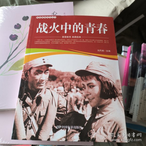 战火中的青春