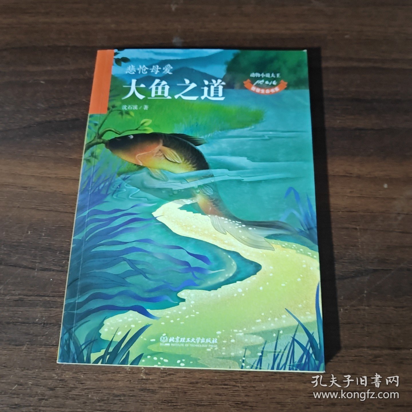动物小说大王沈石溪致敬生命书系：大鱼之道