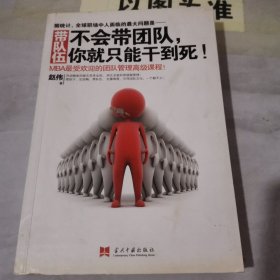 带队伍：不会带团队，你就只能干到死！：MBA最受欢迎的团队管理高级课程