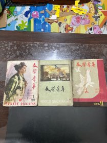 文学青年 1959年第8、9、11期，三本合售