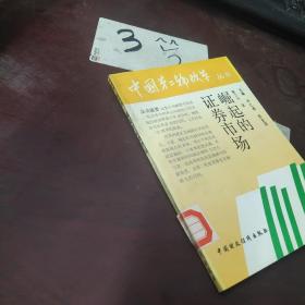 崛起的证券市场