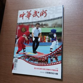 中华武术2017年第9期