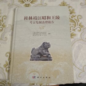 桂林靖江昭和王陵考古发掘清理报告 A7