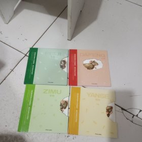 房子 小船 数字 反正 飞机 大风 字母 颜色（8本合售）