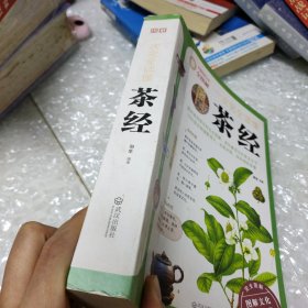 一次完全读懂茶经