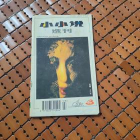 小小说选刊1995年3期