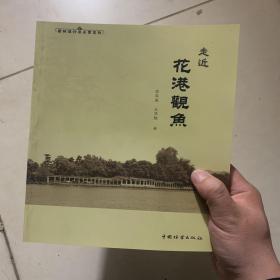 园林设计与品赏系列：走近花港观鱼