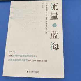 流量是蓝海