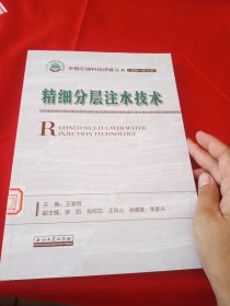 精细分层注水技术