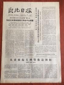 湖北日报1978年12月3日