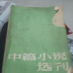 中篇小说选刊1983年第三期
黑骏马  城南旧事