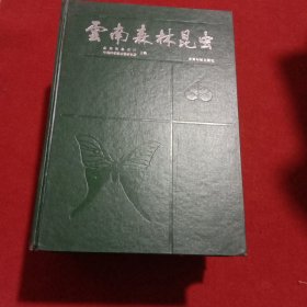 云南森林昆虫（随机发货）