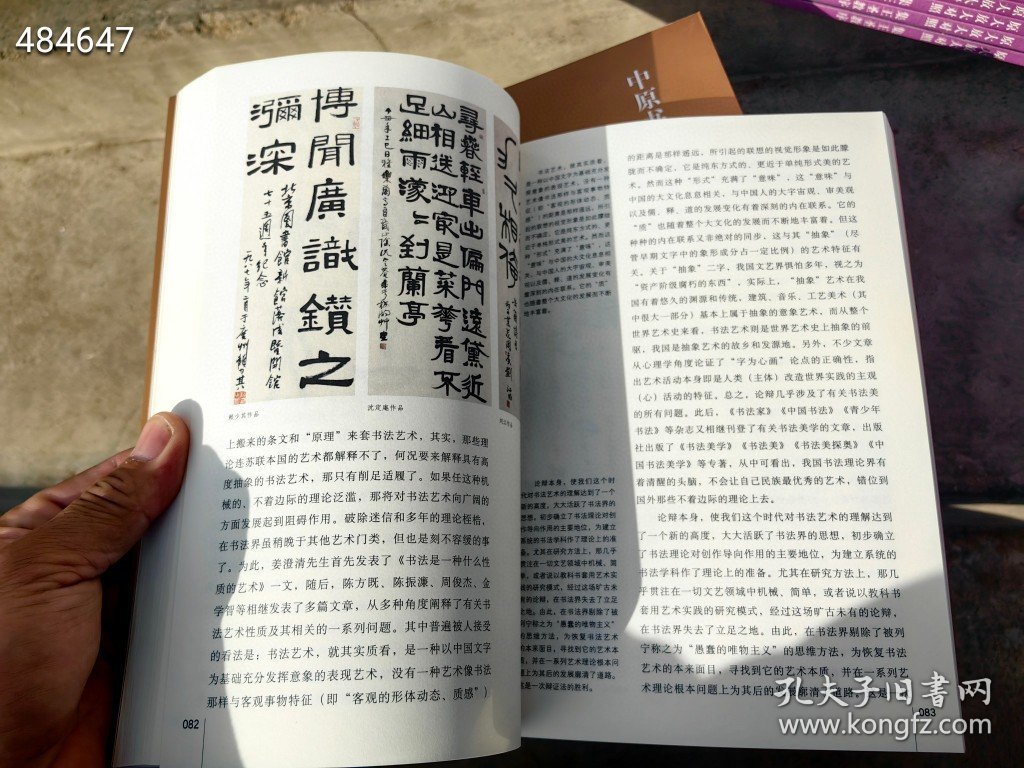 20世纪中国书法通论 周俊杰著。原价120～～特价60包邮 9号狗院（库存12）9787540138066