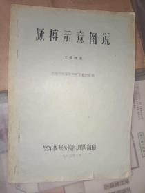 《脉搏示意图说》16开双色油印，品相如图！自定！放网传杂项第六册内