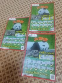 中国体育彩票 大熊猫 3枚