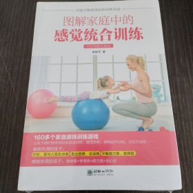 图解家庭中的感觉统合训练:全彩图解实操版