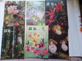 植物杂志1981年（第1-6期全年6期）合售