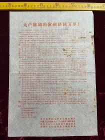 1966年布告，无产阶级的阶级路线万岁，北京林学院毛泽东主义红卫兵等