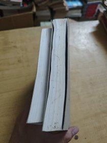 IPO雷区 经典并购＋借壳