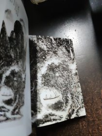 黄宾虹全集（中）