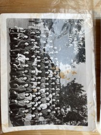 黑白毕业照片（七十年代-八十年代）共2张：“长春电力学校炉14班毕业留念79.12.20”“长春十二中高二.二班毕业留念1982.6”
