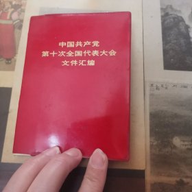 中国共产党第十次全国代表大会文件汇编