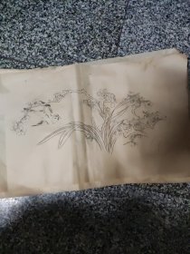 老花鸟画稿29张，每件58**30.5厘米左右，美院老教授家流出，年代不详