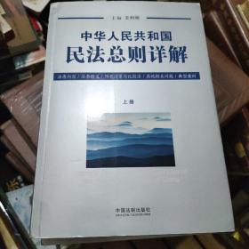 中华人民共和国民法总则详解（套装上下册）