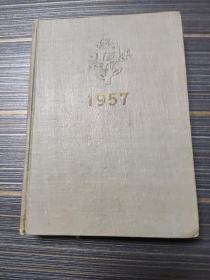 美术日记(1957年)