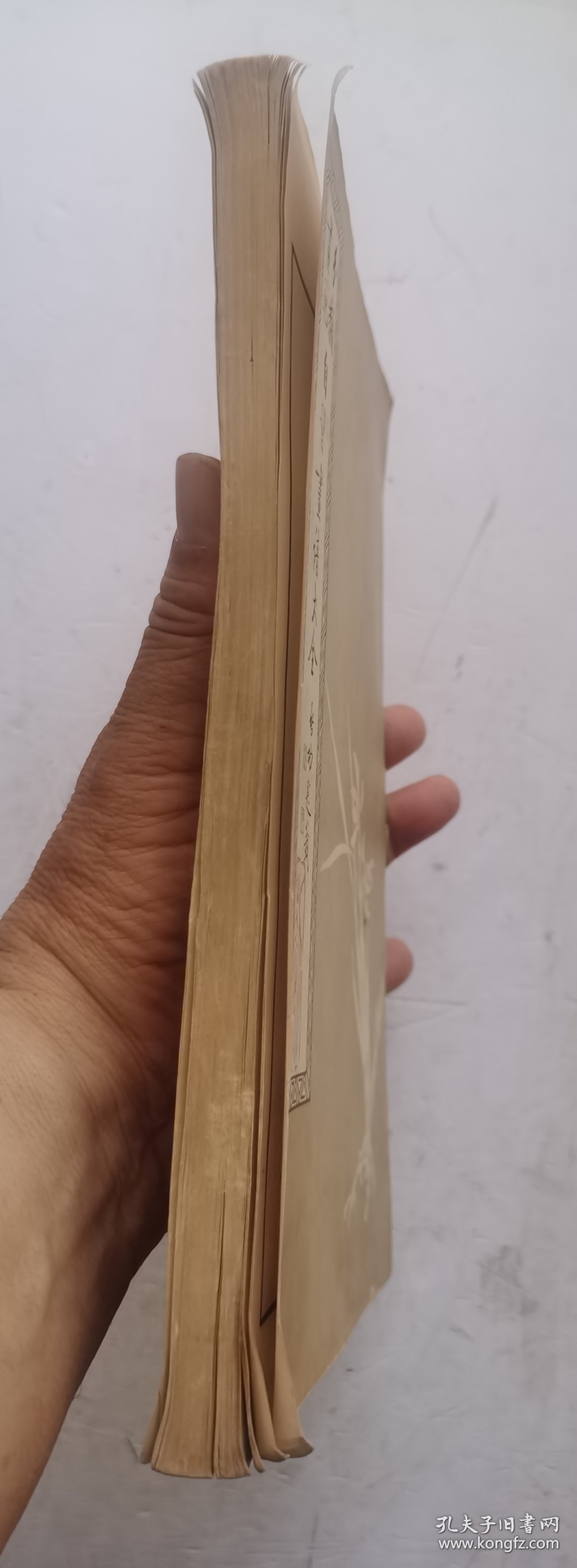 （花卉草虫画谱]清未民初著名画家《馬駘畫寶》花卉草虫画谱。分两部分：第一部分，花卉草虫画法，目录，这部分主要是关于花卉虫草技法。第二部分：百花写生画谱，目录，上集、下集，一本全集，近代著名回族画家马駘画谱。上集是花卉草虫画法，下集百花写生画谱、鱼虫瓜果禽画谱、蘭竹博古画谱。收作者画稿252幅。马骀（1886—1937），清末民初时期的著名画家，《马胎画宝》启功题写《分类画范自习画谱大全》书名。