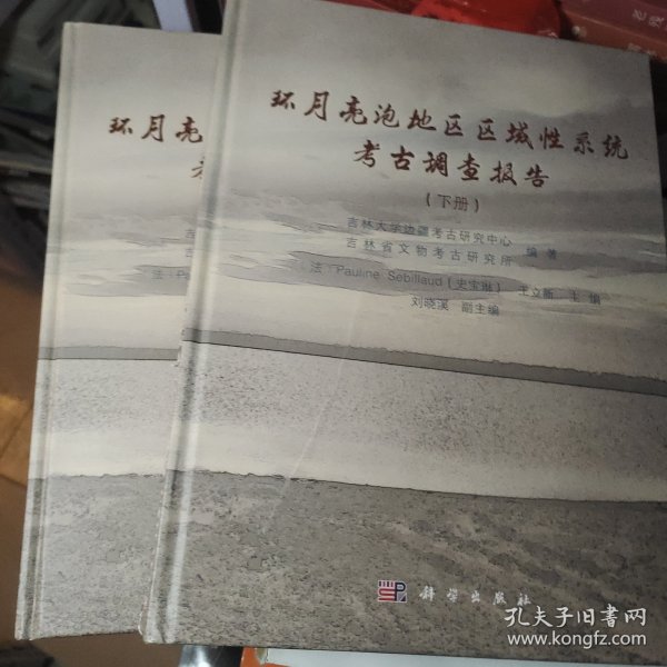 环月亮泡地区区域性系统考古调查报告（上下册）