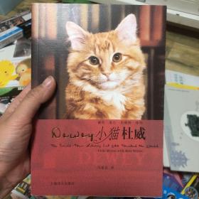 小猫杜威