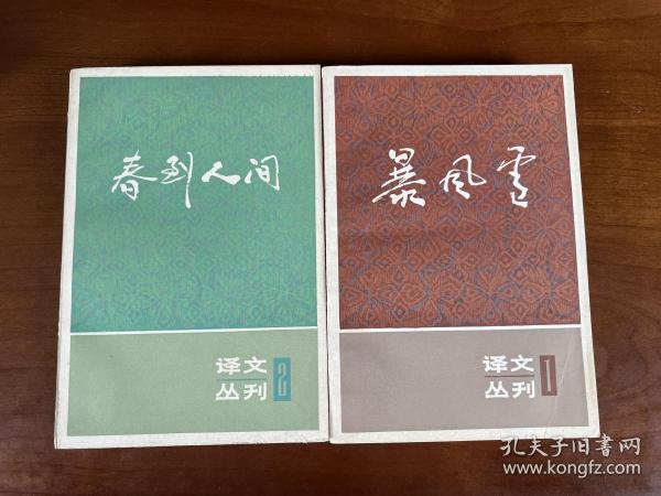 暴风雪：译文丛刊（第一辑）