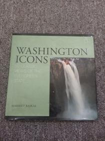 Washington icons