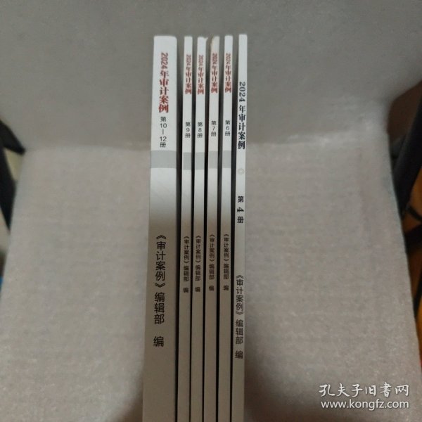 2024年审计案例（第4册、第6-12册）6册合售